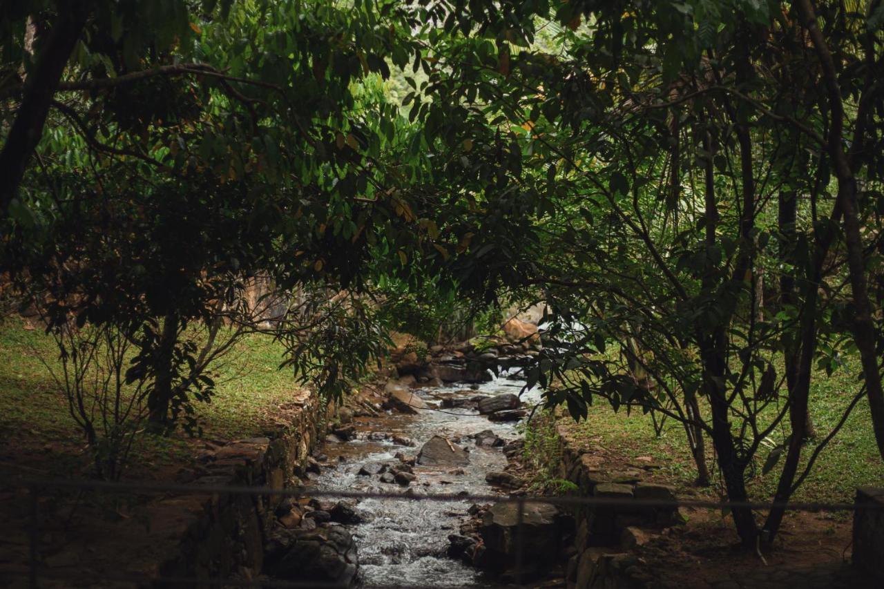 Sati Villa Kandy Sri Lanka Ngoại thất bức ảnh